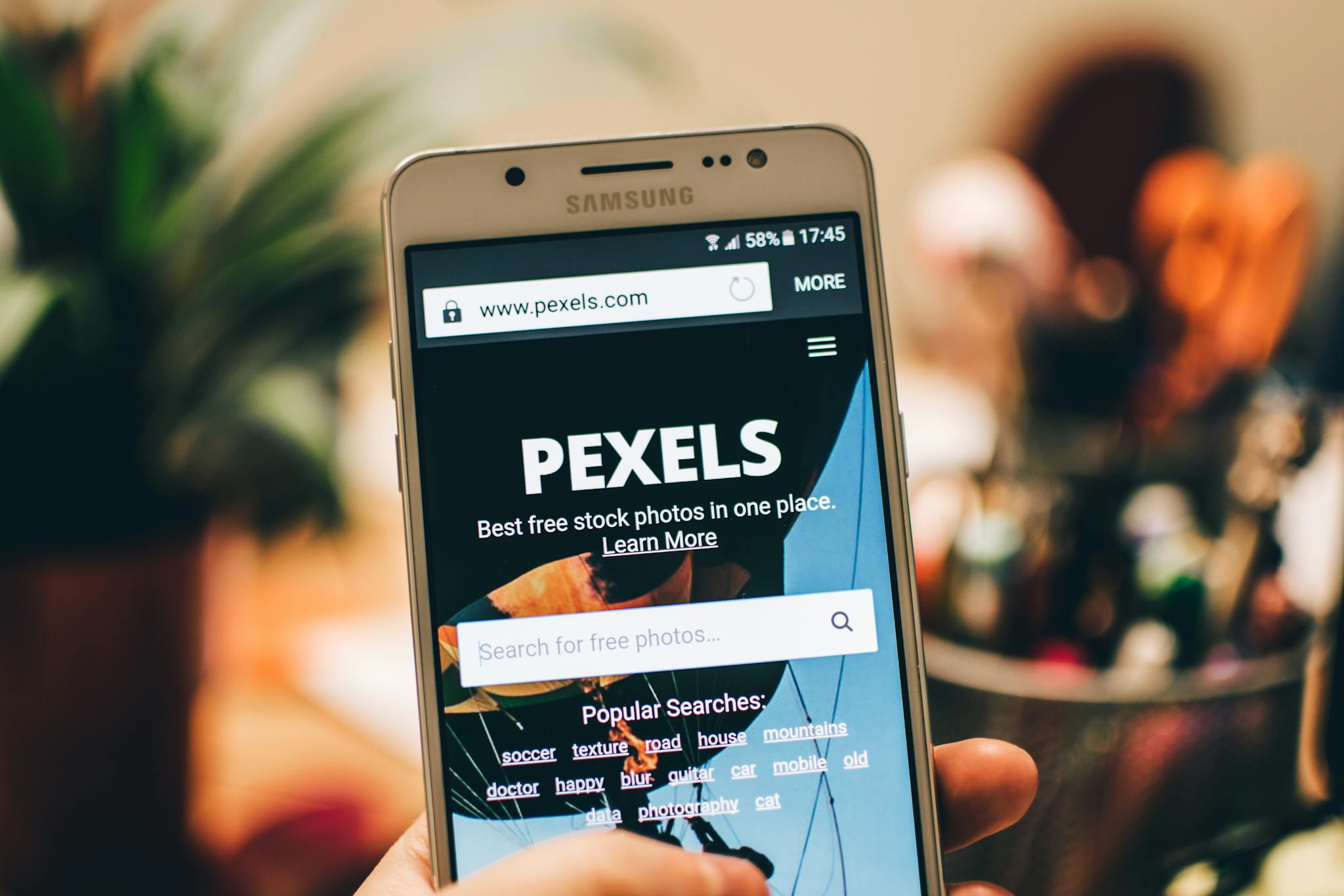 A close-up view of a smartphone displaying the Pexels website screen for stock photo searches.