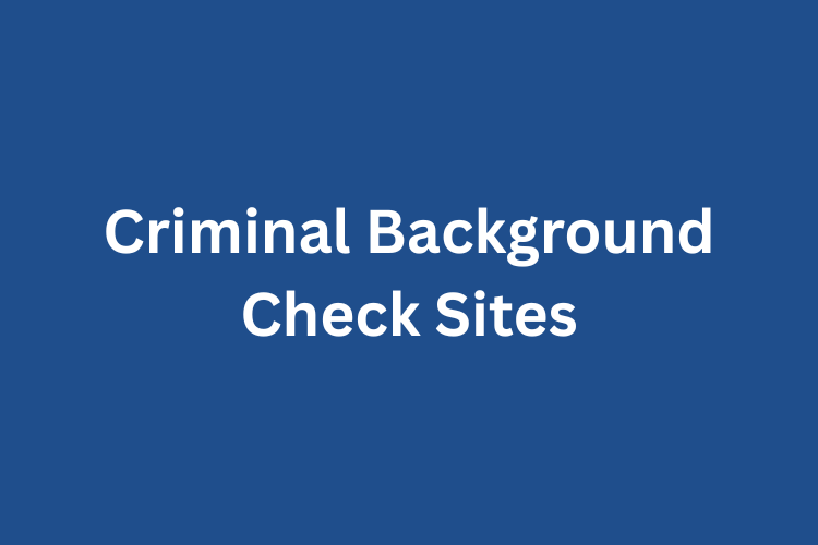 criminal background check site