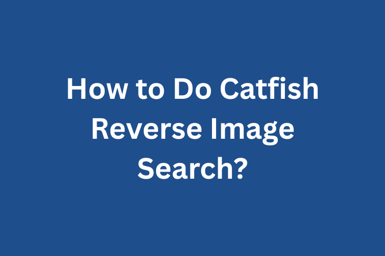 Catfish Reverse Image Search