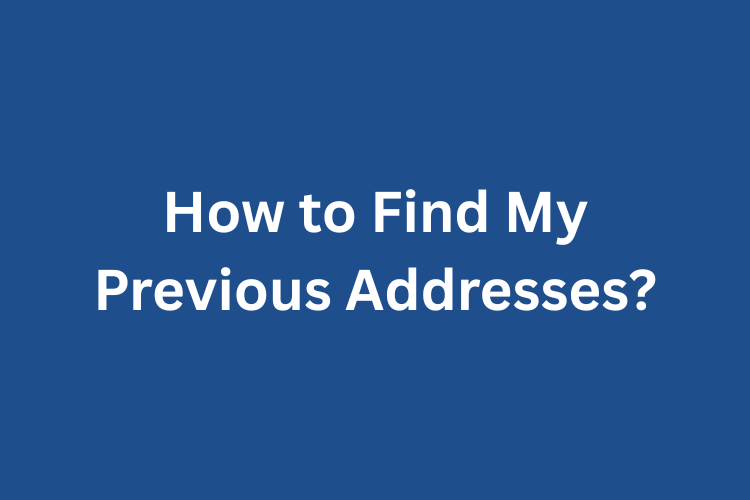 Best Reverse Image Search Tools