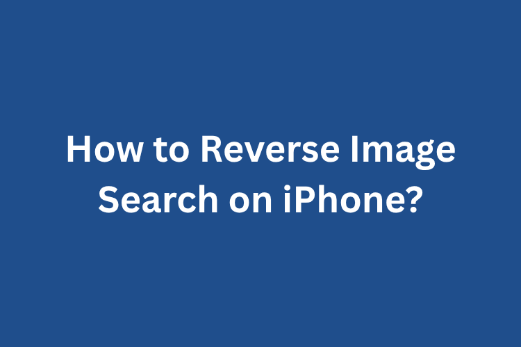 How to Reverse Image Search on iPhone?