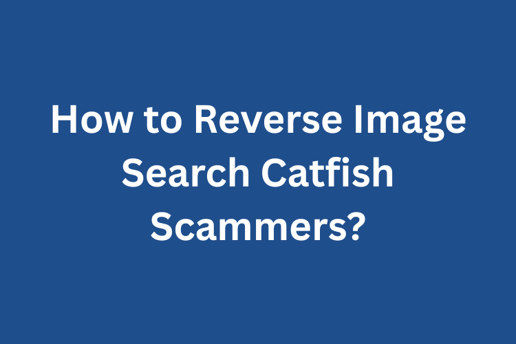 Reverse Image Search Catfish Scammers