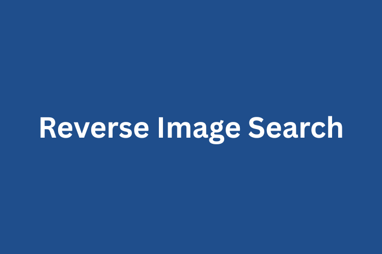 Reverse Image Search on Google, Bing, Android & iPhone