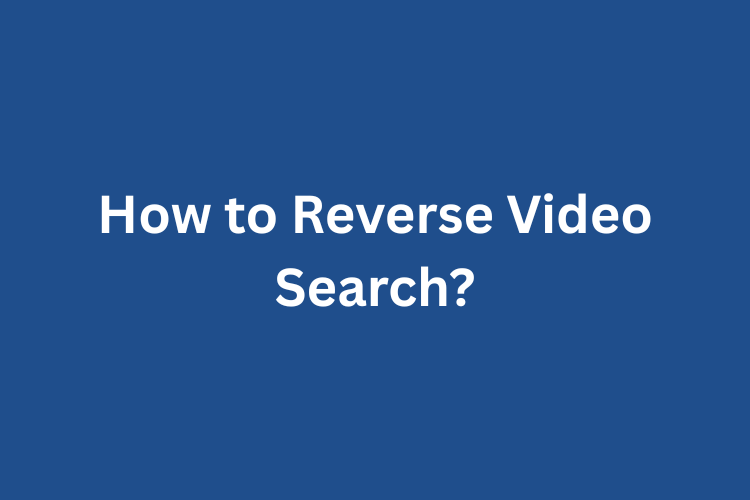 How to Reverse Video Search