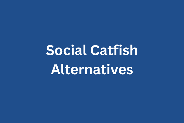 Best Social Catfish Alternatives