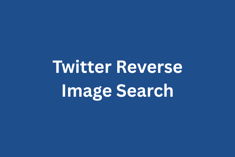 Twitter Reverse Image Search