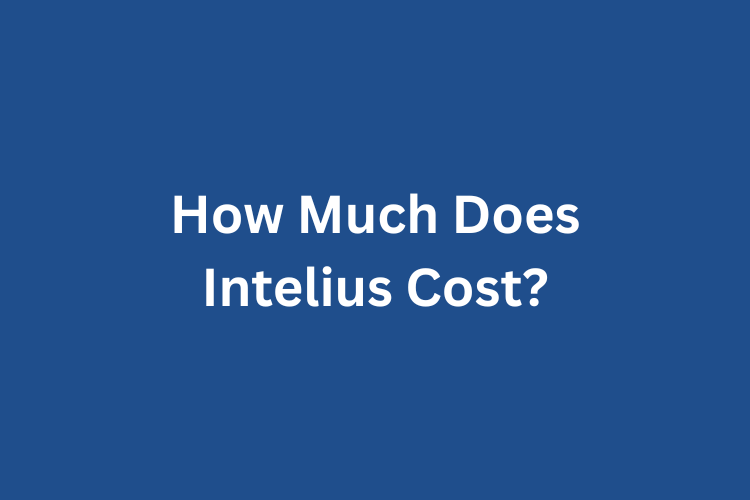 How Much Does Intelius Cost?